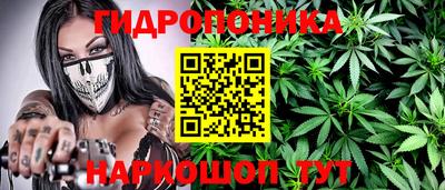 гашик Бугуруслан