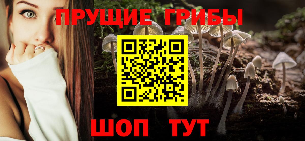 Псилоцибиновые грибы Cubensis  как найти закладки  Сосновоборск  Вход с VPN 